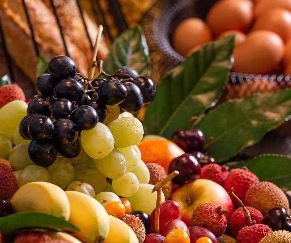 Mercure Gare De Lyon Opera Bastille Paris